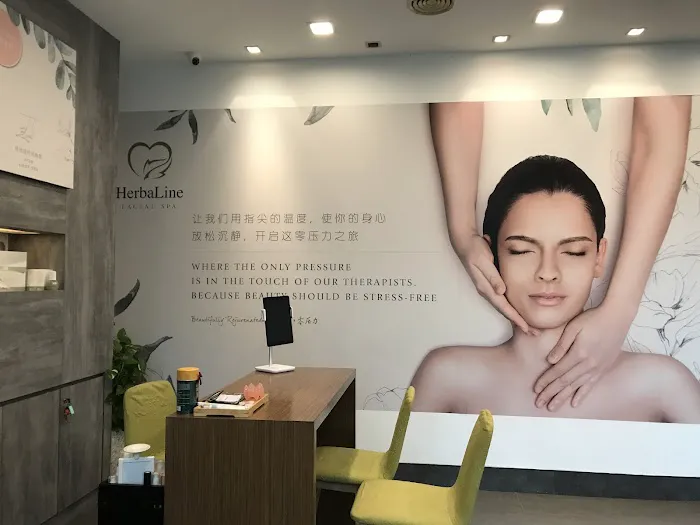 HerbaLine Facial Spa Taman Eng Ann, Klang Picture 10