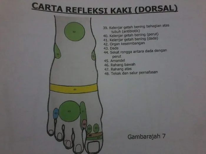 Terapi Saraf dan Tulang Thibbun Nabawi Picture 2