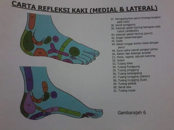 Terapi Saraf dan Tulang Thibbun Nabawi Picture 1