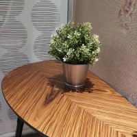Cheng sin 逸足轩养生堂 massage shop ico