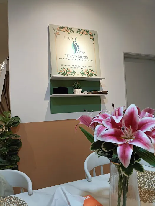 NeuroSPINE THERAPY STUDIO Picture 2