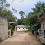 Sentuhan Jari Jemari Umi (KakMa)