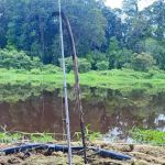 Selesa Urat Tanjung Karang Selangor