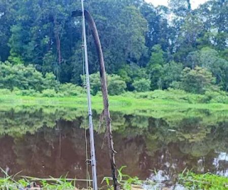 Selesa Urat Tanjung Karang Selangor