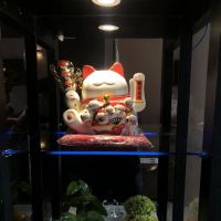 Family Reflexology ico