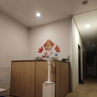 Dream Future ico