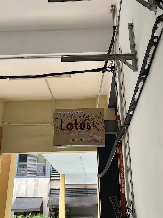 LOTUS foot massage Picture 6