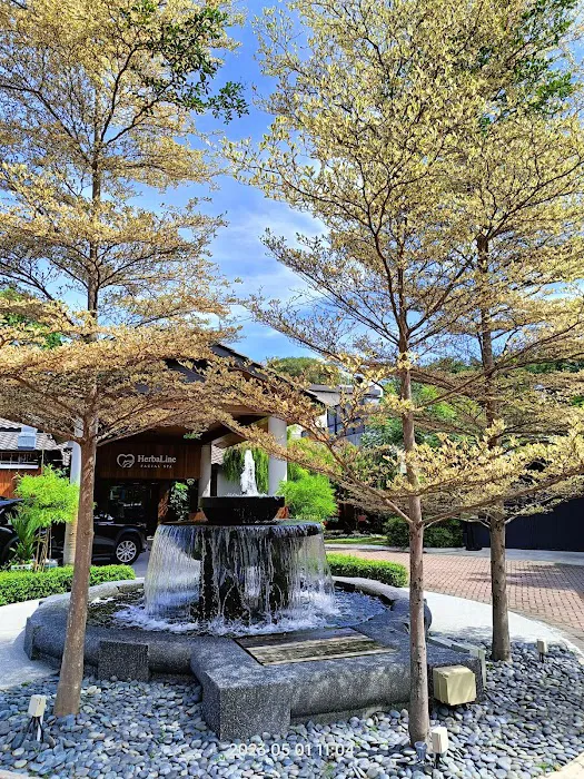 HerbaLine Facial Spa Bandar Botanic Klang Picture 5