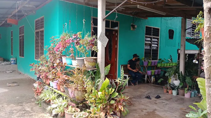 Pok Tar Ngurut Picture 1