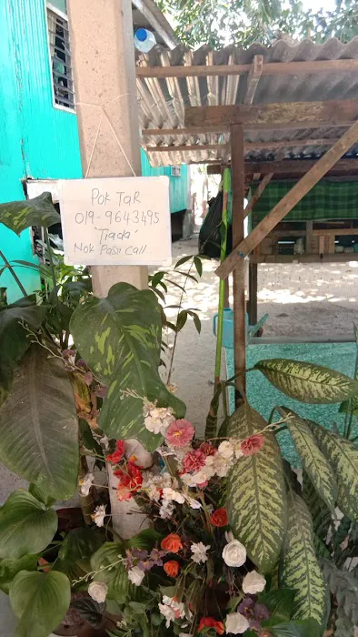 Pok Tar Ngurut Picture 5