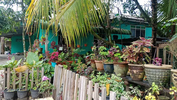 Pok Tar Ngurut Picture 7