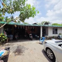 Pok Tar Ngurut 2 ico