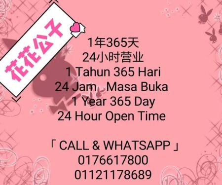 Playboy girl escorts