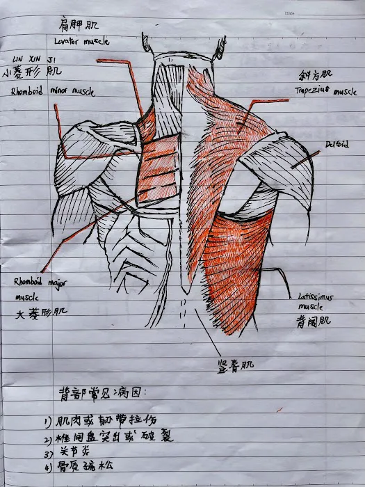 Armos Integrated Therapy Picture 10