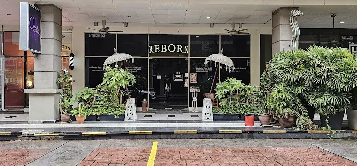 Reborn Picture 3