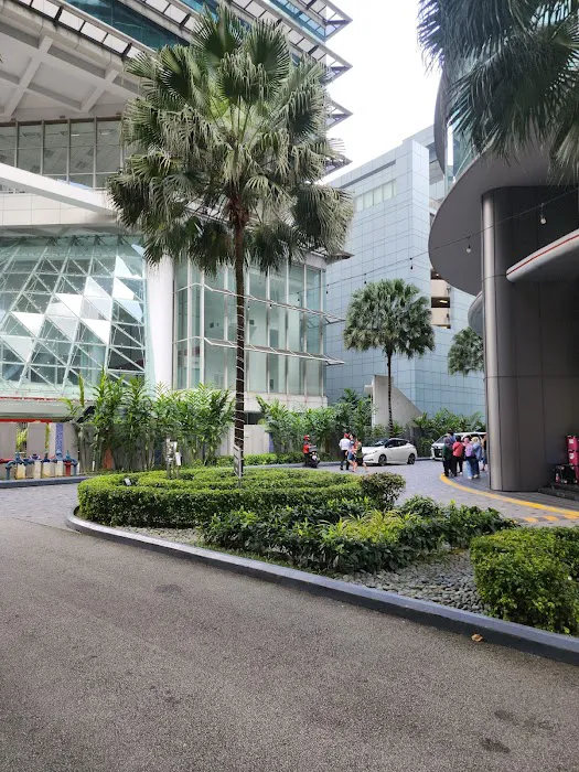 Borneo Oasis @ Gohtong Jaya Picture 10
