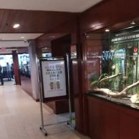Awana Genting Highlands Foot Reflexology ico