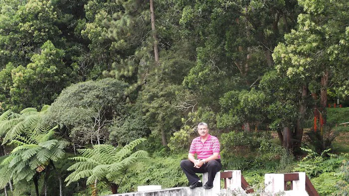 Awana Genting Highlands Foot Reflexology Picture 5