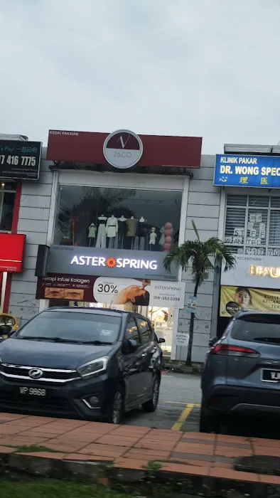 AsterSpring Bandar Bukit Tinggi Picture 1