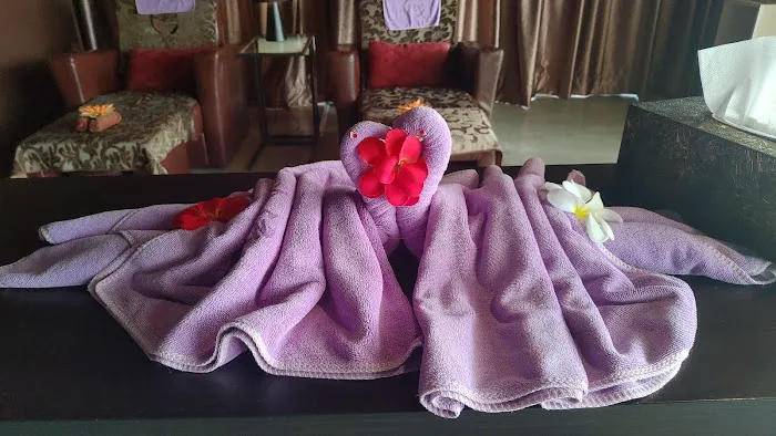 YLL REFLEXOLOGY Picture 5