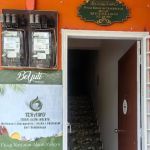 Teramu Terapi Alami