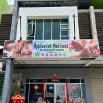 Applemint Wellness Reflexology Centre (Cawangan)
