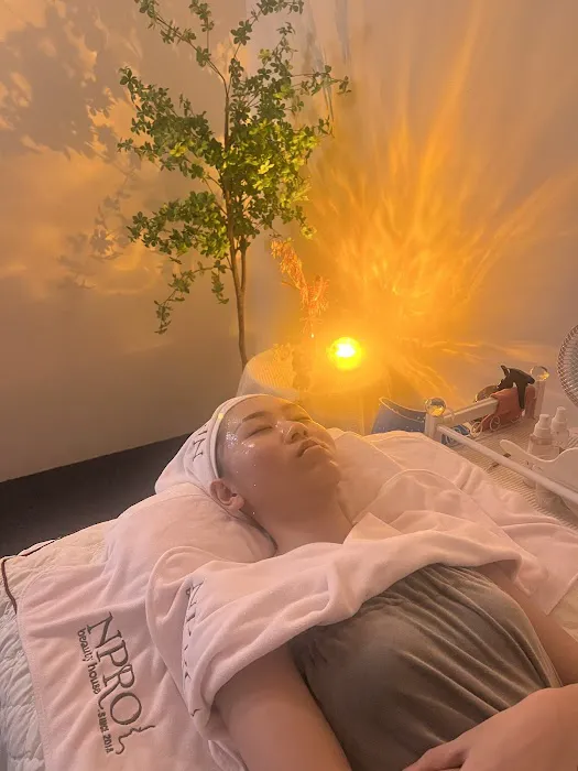 Npro Beauty House Picture 2
