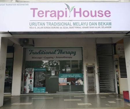 Terapi House