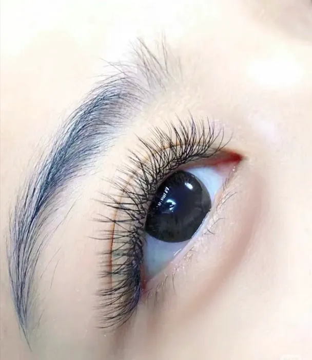 De Glamour Beauty Solution Picture 3