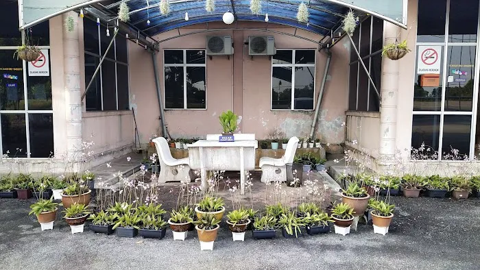 Pusat Urutan Tradisional Kampung Nyatoh Setiu Picture 3