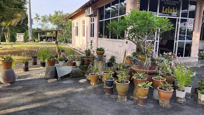 Pusat Urutan Tradisional Kampung Nyatoh Setiu Picture 7