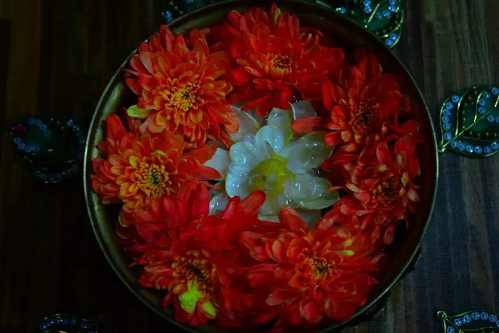 | Cosmic Rejoice Ayurtherapy | Ayurveda Massage And Treatment Picture 7