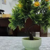 AYUR HEAVEN KERALA AYURVEDA ico