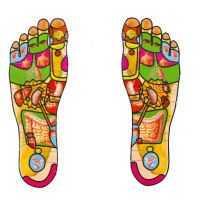 SHA III BLIND FOOT REFLEXLOGY & BODY MASSAGE ico