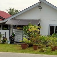 Urut Urat Saraf ico