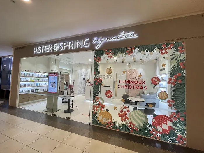 AsterSpring Signature Bangsar Village II Picture 6
