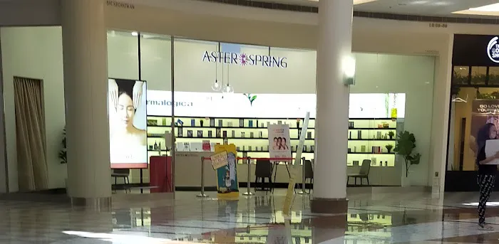 AsterSpring Alamanda Putrajaya Picture 5