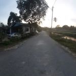 Tukang urut bekam (khas lelaki)