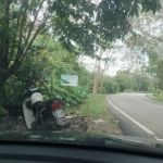 Urutan Tradisional Machang