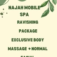 NAJAH MOBILE SPA ico