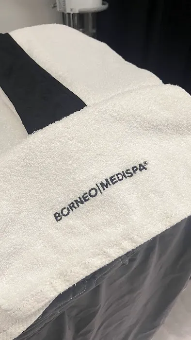 BORNEO MEDISPA SHAH ALAM Picture 4