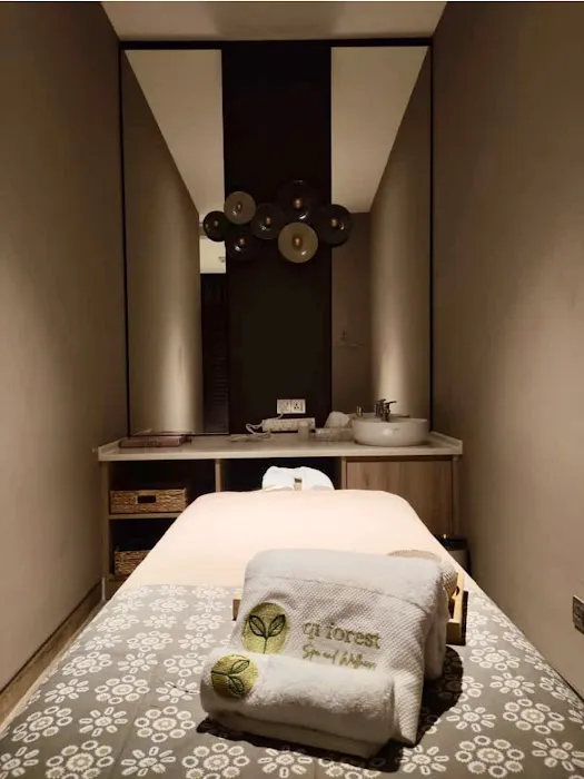 Qi Forest Spa and Wellness, ibis Styles Sepang KLIA Picture 10
