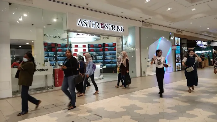 AsterSpring Setia City Mall Picture 6