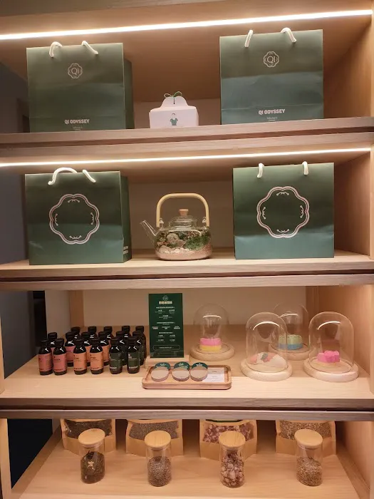 Qi Odyssey Setia City Mall Picture 5