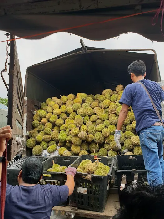 Tapak Durian Power Best Picture 2