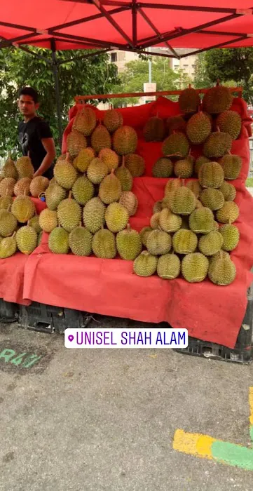 Tapak Durian Power Best Picture 1