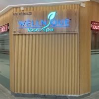 Wellnique Foot Spa maluri ico