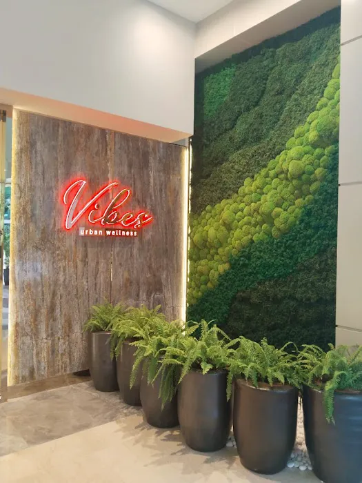 Vibes Urban Wellness Picture 9