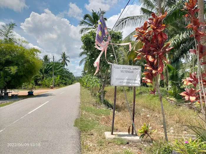 Pusat Urutan Sungai Tengar Picture 5