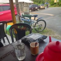 Ayam pnyit madrasah ksk endang ico